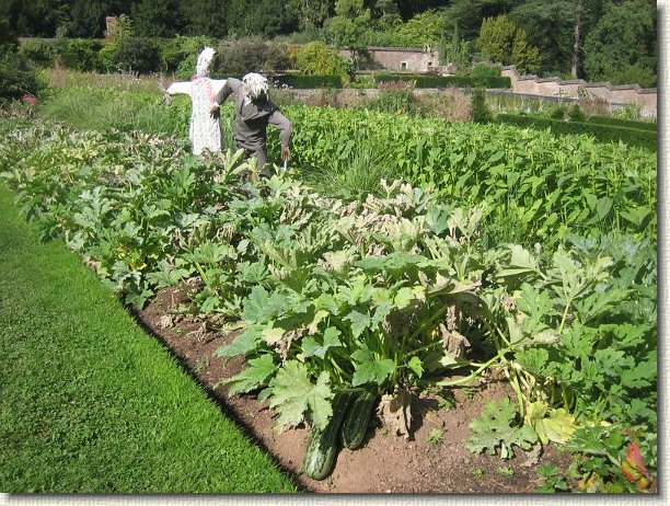 You have reached the last slide